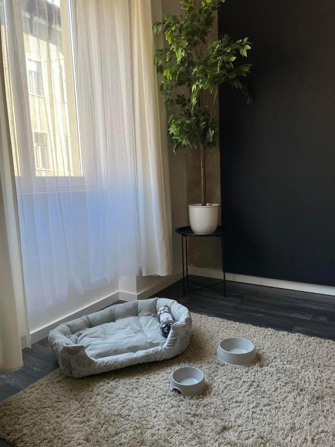Spacious Apartment Almassy บูดาเปสต์ ภายนอก รูปภาพ